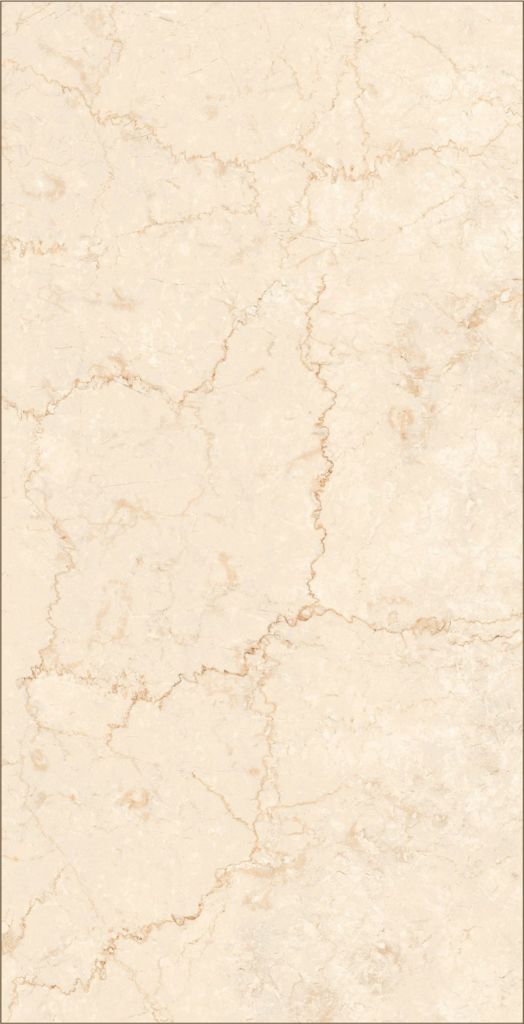CLASSIC-BOTTOCHINO_60cm-120cm_PGVT_glossy_polished_Floor-Tiles