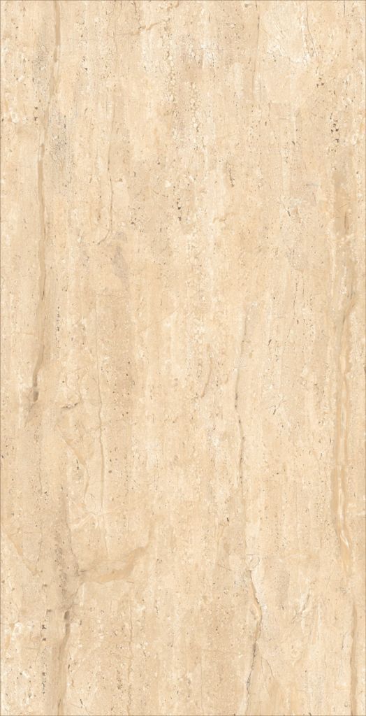 DYNA-REAL-_60cm-120cm_PGVT_glossy_polished_Floor-Tiles