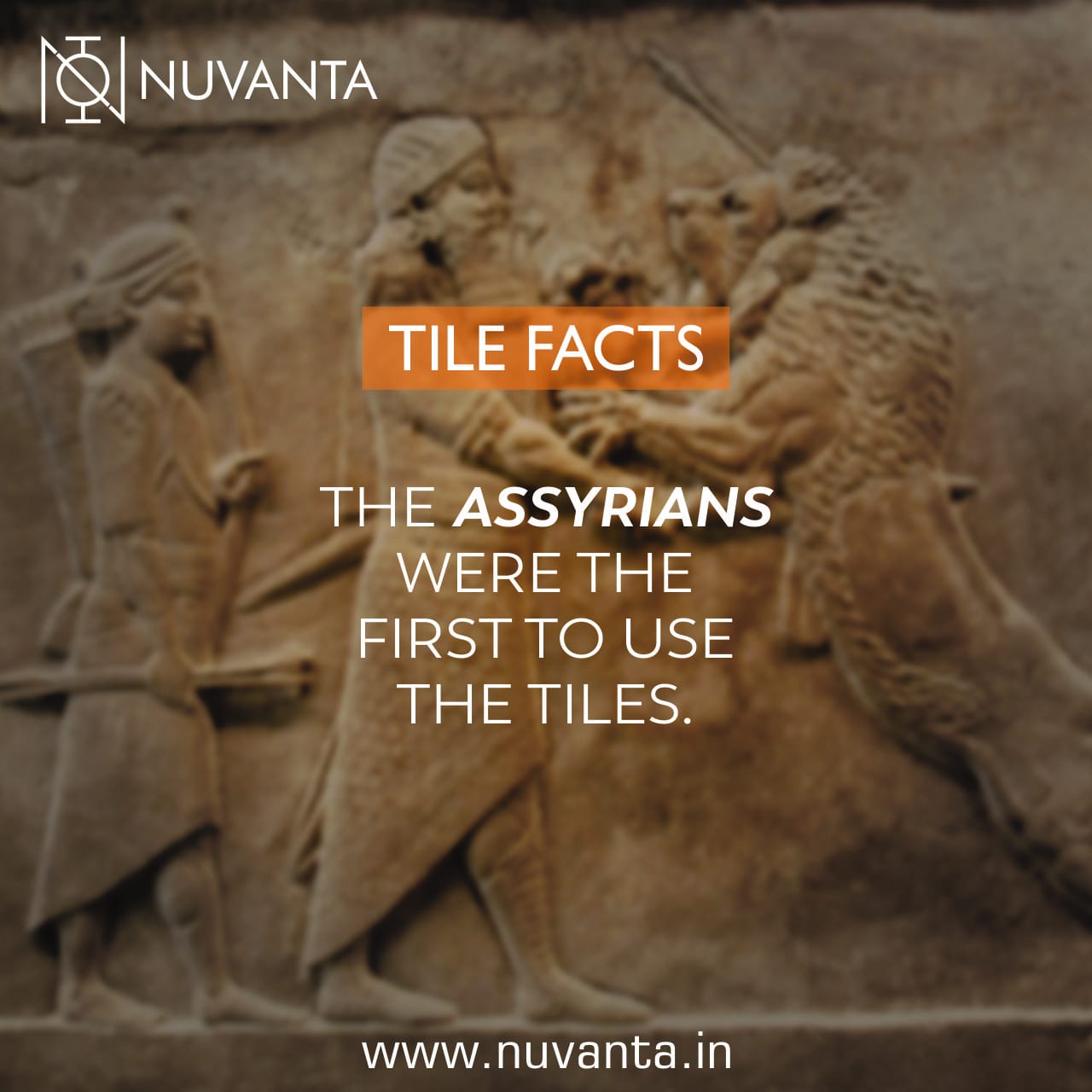 Tiles Facts #1 Nuvanta Tiles